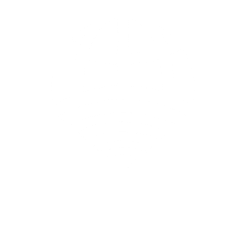 NexRumo Rastreamento Logo